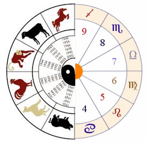 Bienestareal® - Astrología I